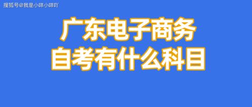 自考电子商务专业 解锁商务信息咨询的核心能力