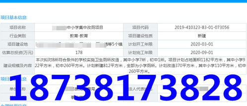北京商务信息咨询服务 助力企业在首都市场稳健发展